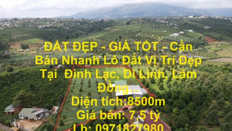 ĐẤT ĐẸP - GIÁ TỐT - Cần Bán Nhanh Lô Đất Vị Trí Đẹp Tại  Đinh Lạc, Di Linh, Lâm Đồng